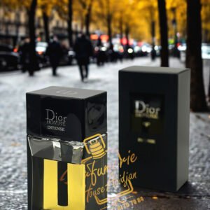 DIOR HOMME INTENSE Eau de Parfum 100ML