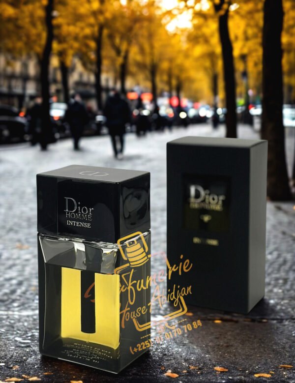 DIOR HOMME INTENSE Eau de Parfum 100ML