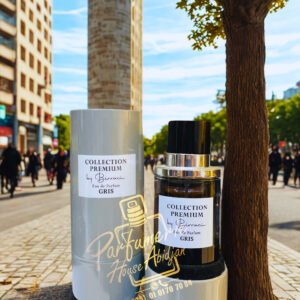 GRIS PREMIUM 100ML