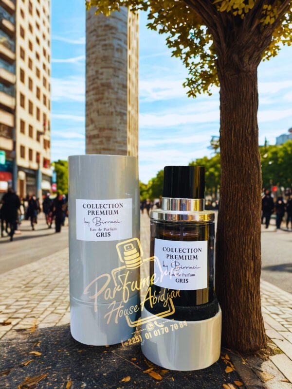 GRIS PREMIUM 100ML