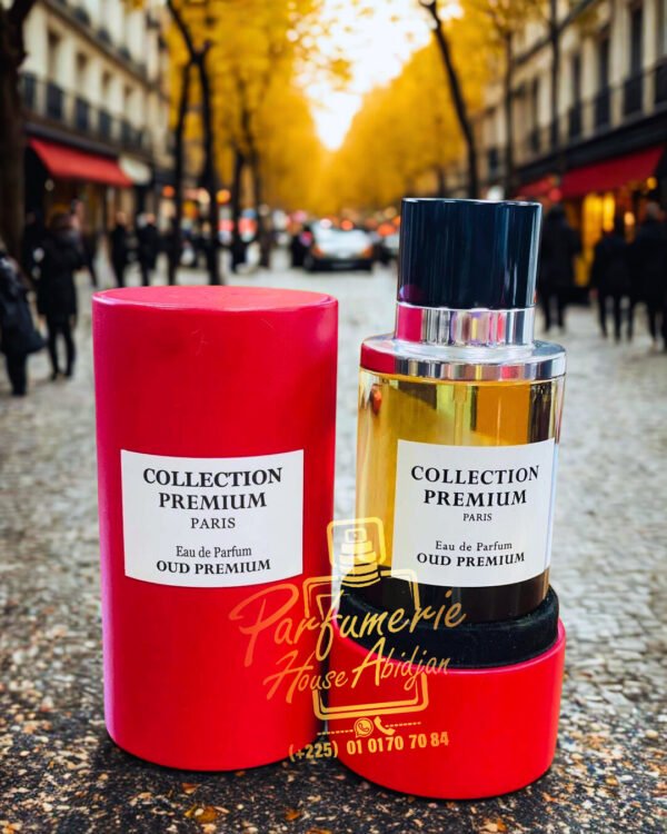 OUD PREMIUM 100ML