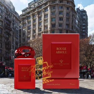ROUGE ABSOLU 75ML Gris Montaigne Paris