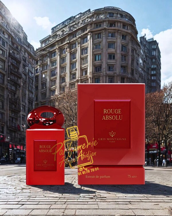 ROUGE ABSOLU 75ML Gris Montaigne Paris