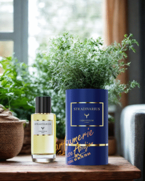 STRADIVARIUS 50ml - Convivium Paris – Inspiration Hundred silent ways nishane