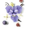 COFFRET MAUBOUSSIN STAR