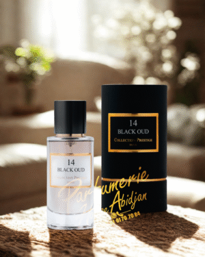 BlACK OUD N°14 50ml - inspiration Oud Wood Tom FORD - Collection Prestige Paris