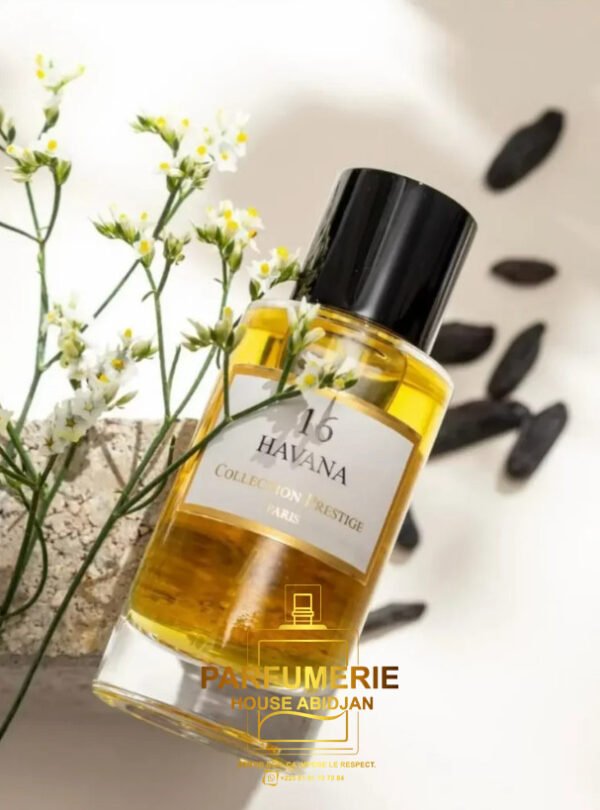 HAVANA N°16 50ml - inspiration Tobacco Vanille Tom Ford - Collection Prestige Paris