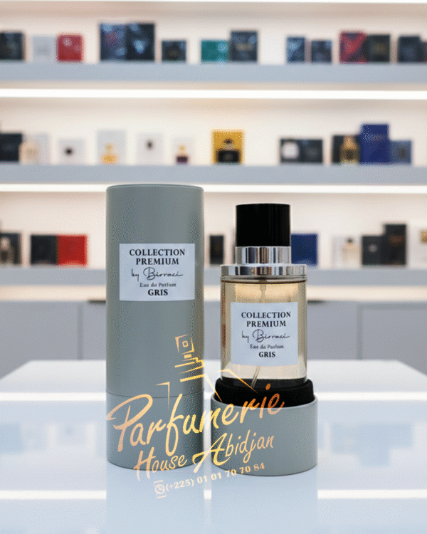 GRIS COLLECTION PREMIUM PARIS