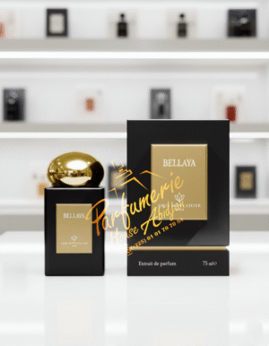 BELLAYA 75ML Gris Montaigne Paris