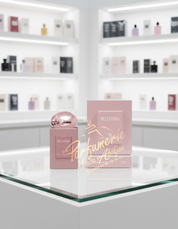 BELLISIMA 75ML Gris Montaigne Paris