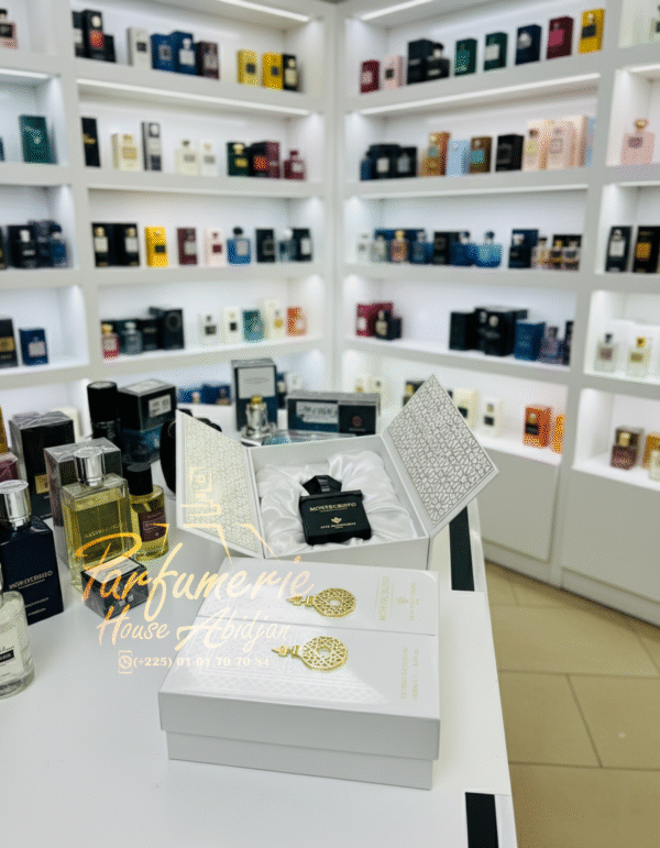 MONTECRISTO 100ML Gris Montaigne Paris